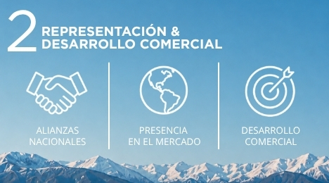 Representación Comercial